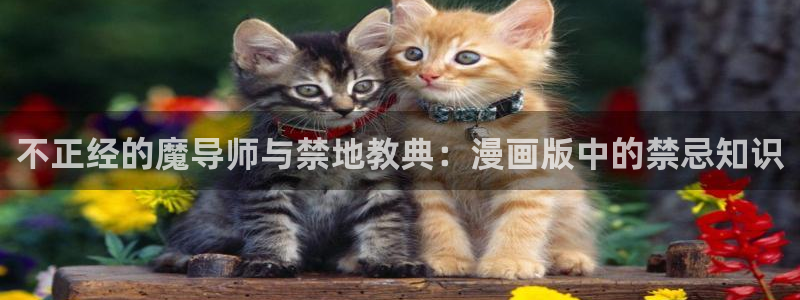 漫画之家网：不正经的魔导师与禁地教典：漫画版中的禁忌知识